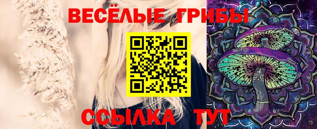 Нижний Новгород  Псилоцибиновые грибы Magic Shrooms  Вход с VPN 