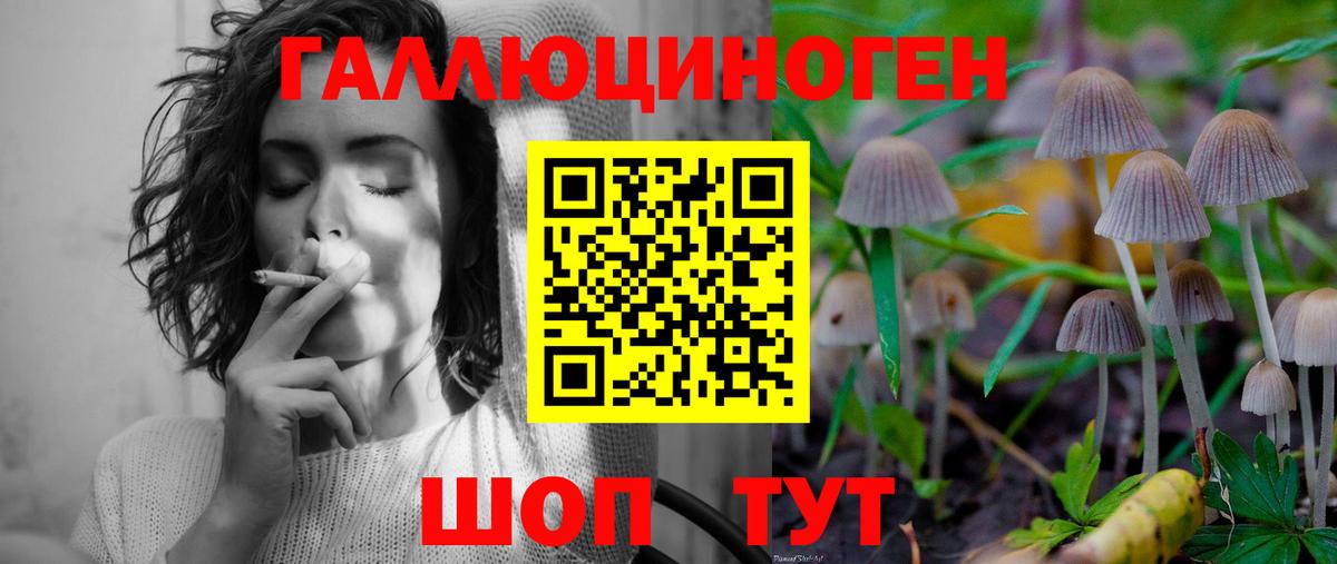 Галлюциногенные грибы Magic Shrooms Нижний Новгород